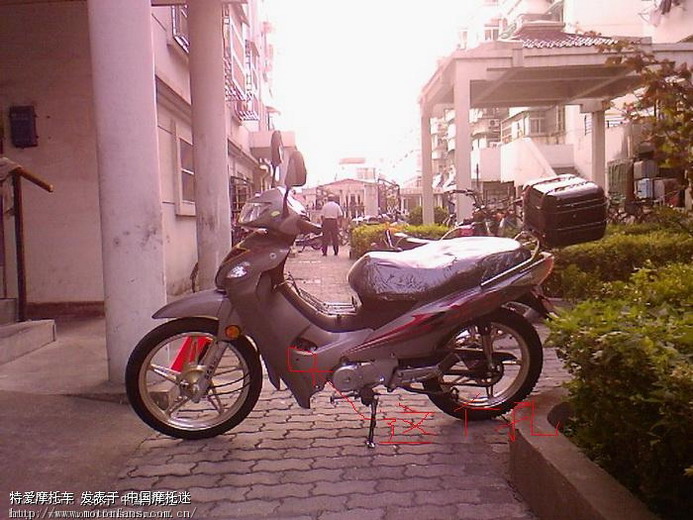 请教:轻骑豪马的放油螺丝在哪 - 摩托车论坛 - 济